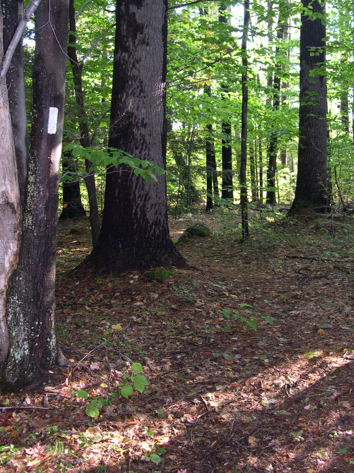 A Nomads Life, Places I Have&nbsp;Lived