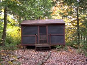 Cabin in the woods