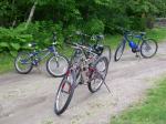 bikes in driveway