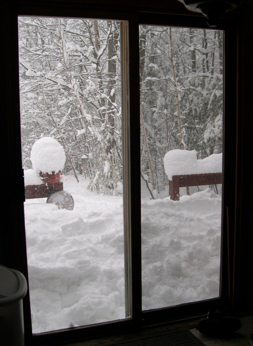 DSCN0024-2 snow on deck