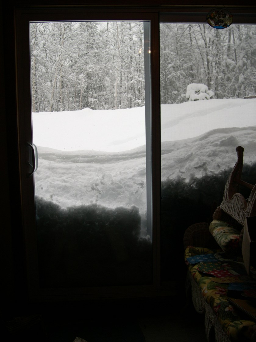 DSCN0050-2 high snow