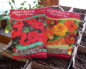Nasturtium seed packets