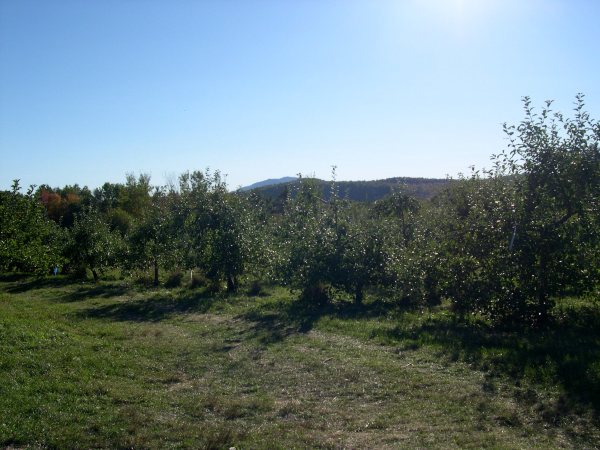 DSCN0004-1 apple orchard and view of mt. monadnock