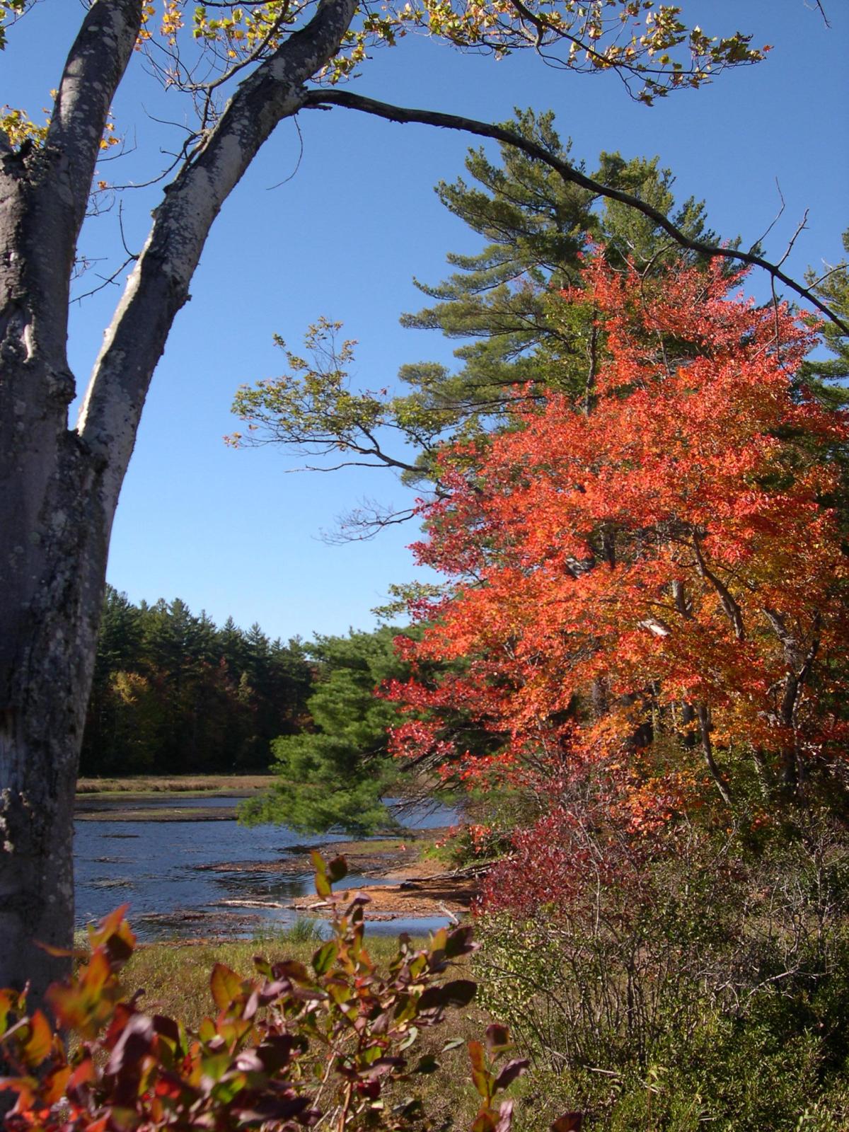 New England Fall Foliage&nbsp;2010