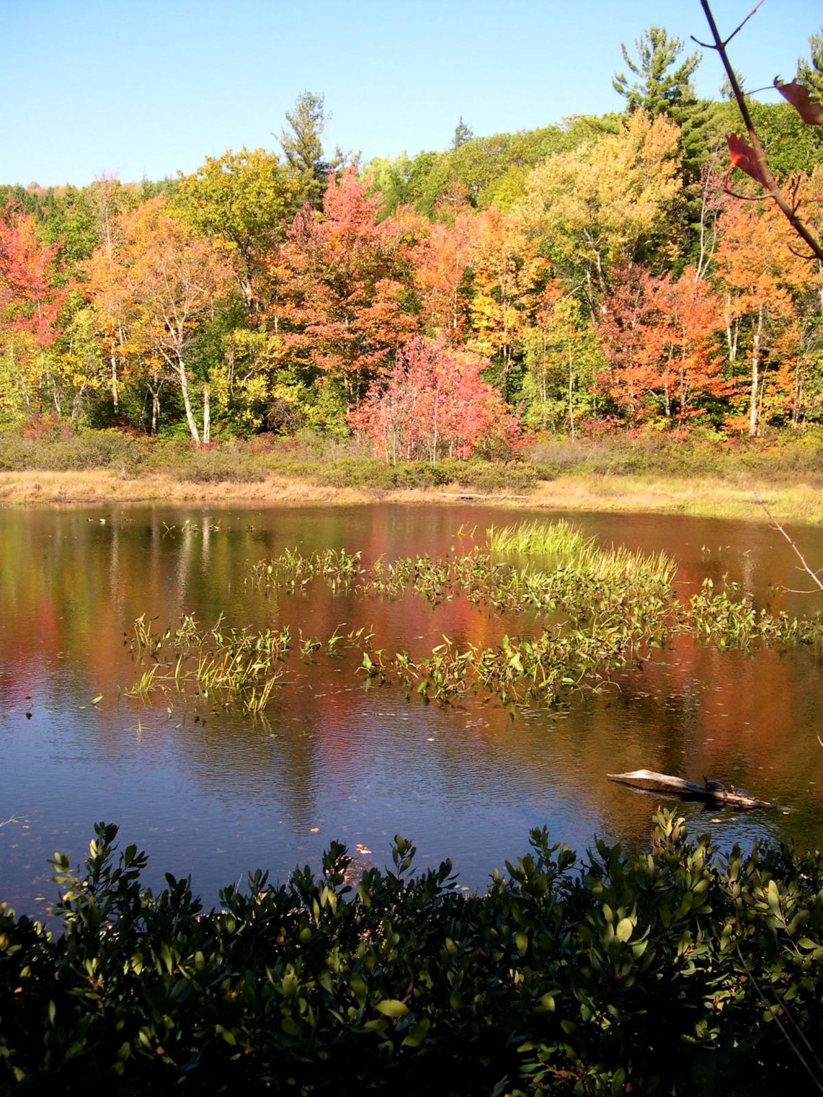 Hoping For a Great Fall Foliage&nbsp;Season