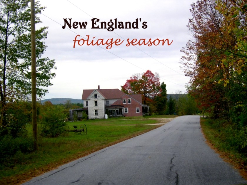 Farm scene for badge link