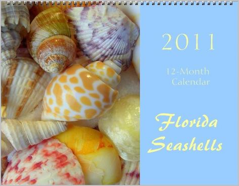 Florida seashells photogaphy calendar