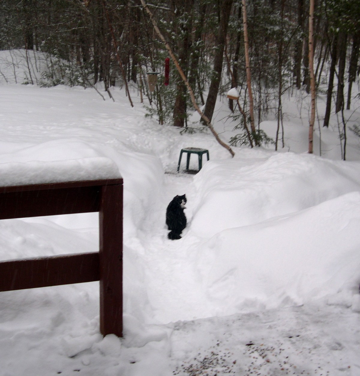 Happy New Year, We Are&nbsp;Snowless