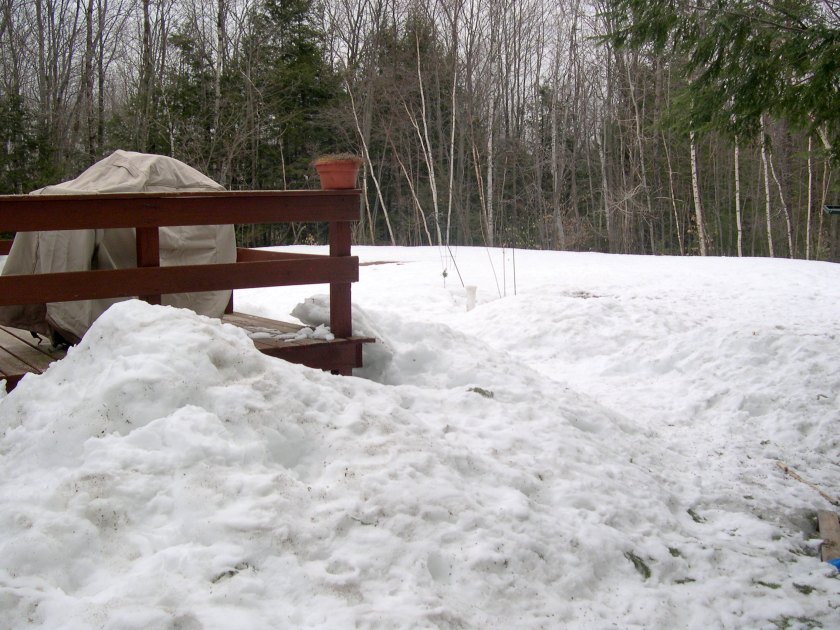 March 31st snow left in yard