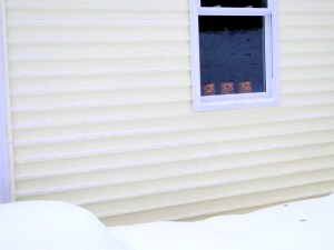 Halloween candle holders in the window