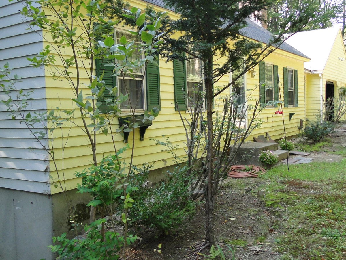 Beginning My House Renovations, Part&nbsp;Two