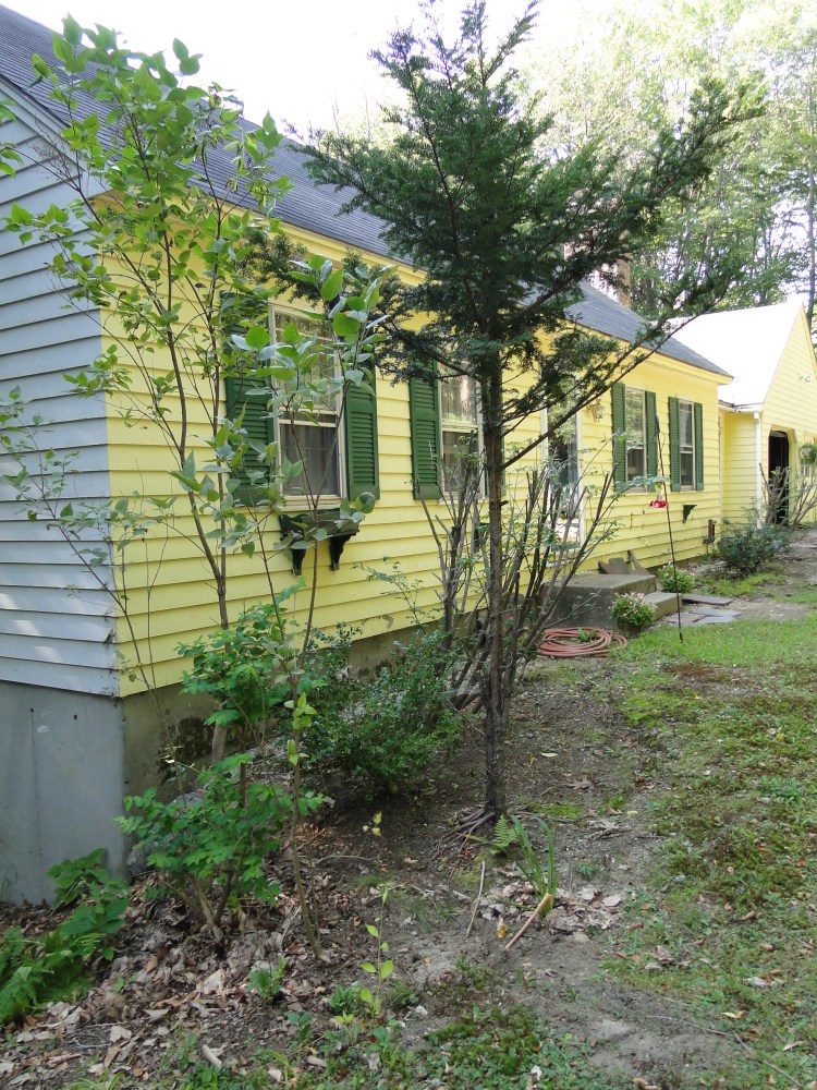My house as it looked before the replacement siding, windows and shutters.