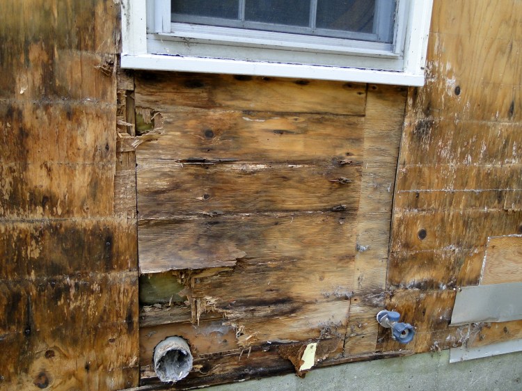 Rotting wood on the front of the house beneath one of the old windows.