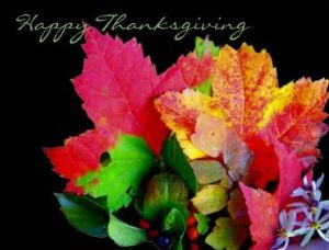 fall leaves and Happy Thanksgiving text