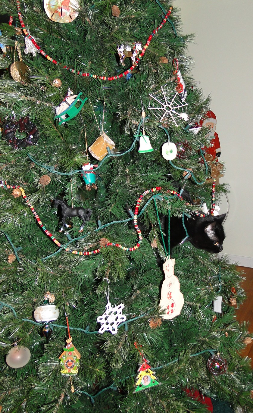 Cat in the Christmas Tree