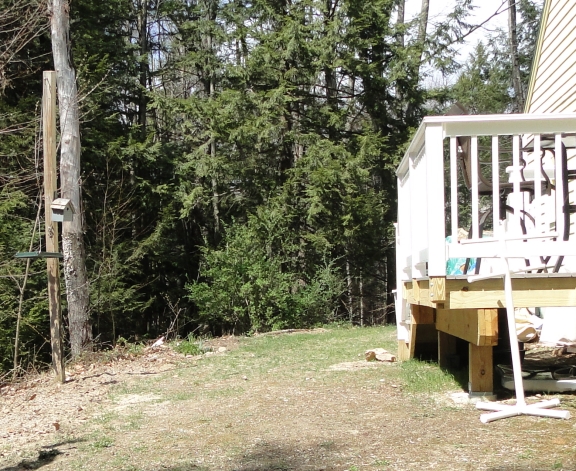 backyard deck and lawn