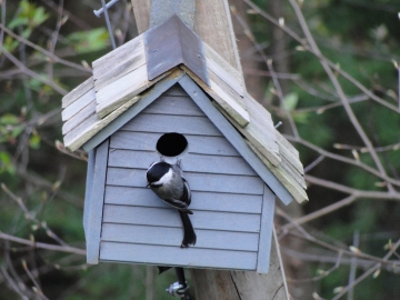 Missing Yarn Shops and Farm Stands and Unique&nbsp;Crafters