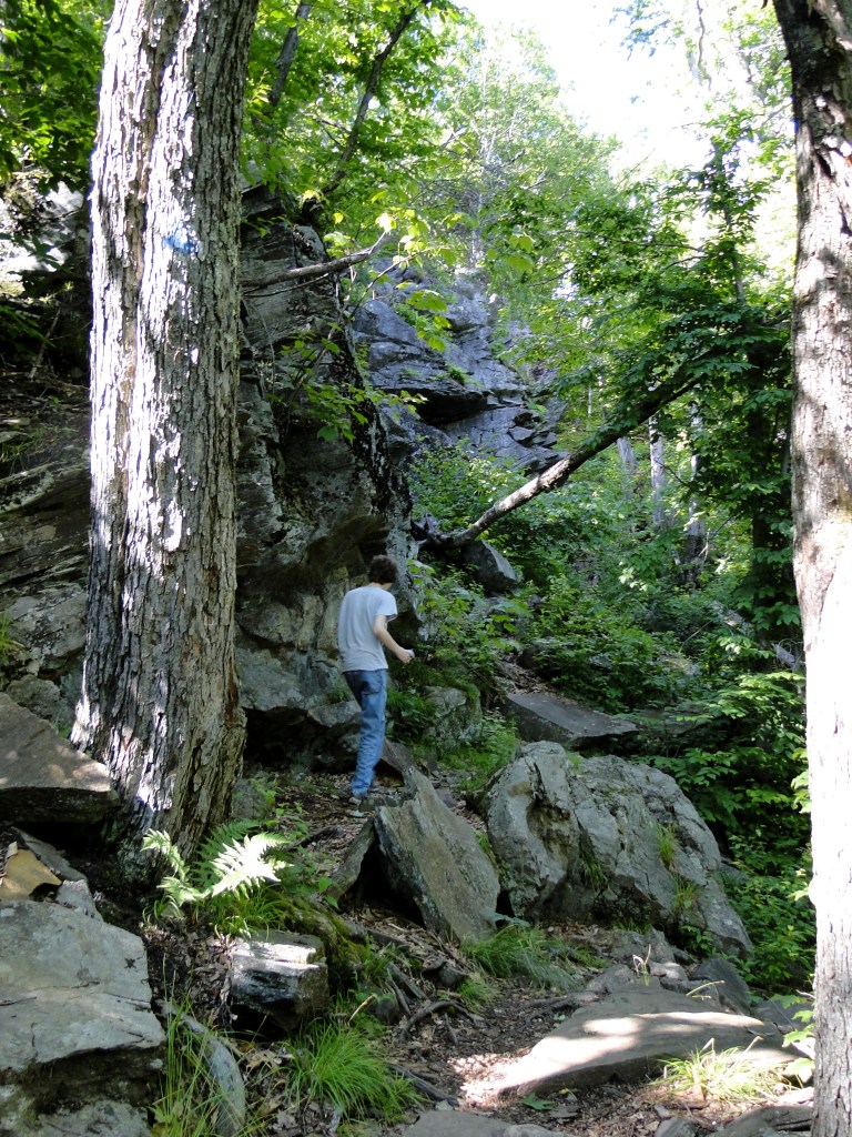 Rock ledge along the blue trail