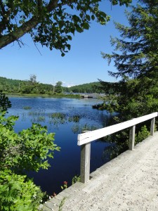 Lake view bridge at the lake