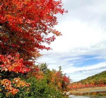 fall foliage season 2012