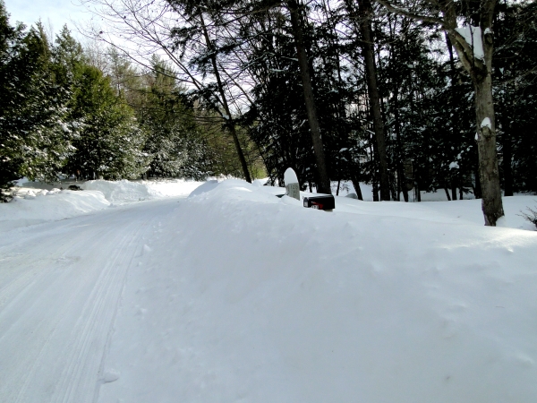 Icy Snow Covering Everything&nbsp;Today