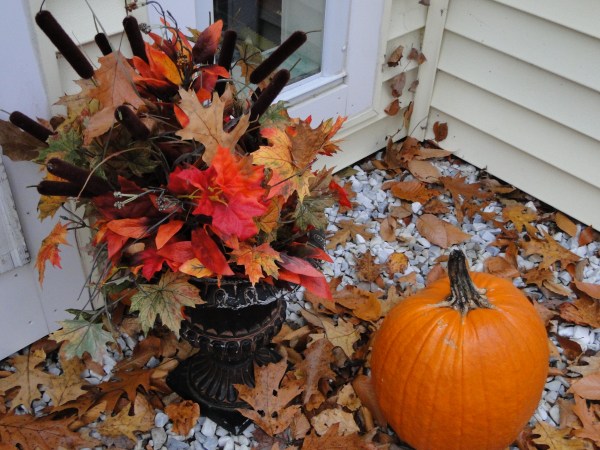 Fall leaves and pumpkin