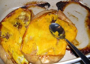 cooked squash