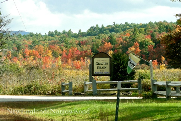 pictures of fall 2014