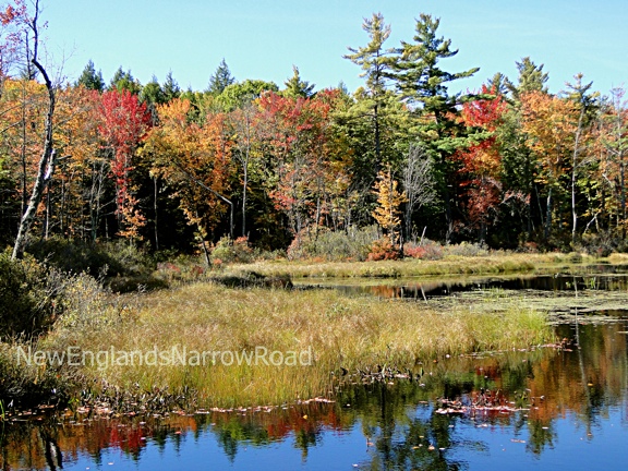 Searching For Fall Color,&nbsp;2010