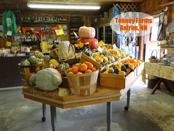 squash and gourds for sale