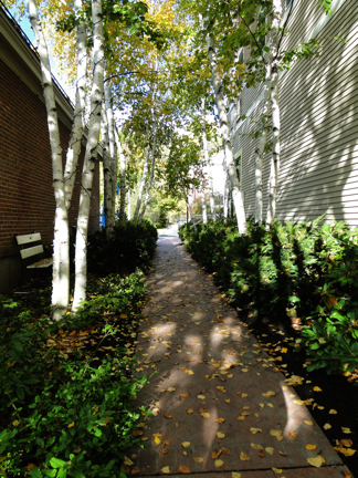 walkway to Grove St.