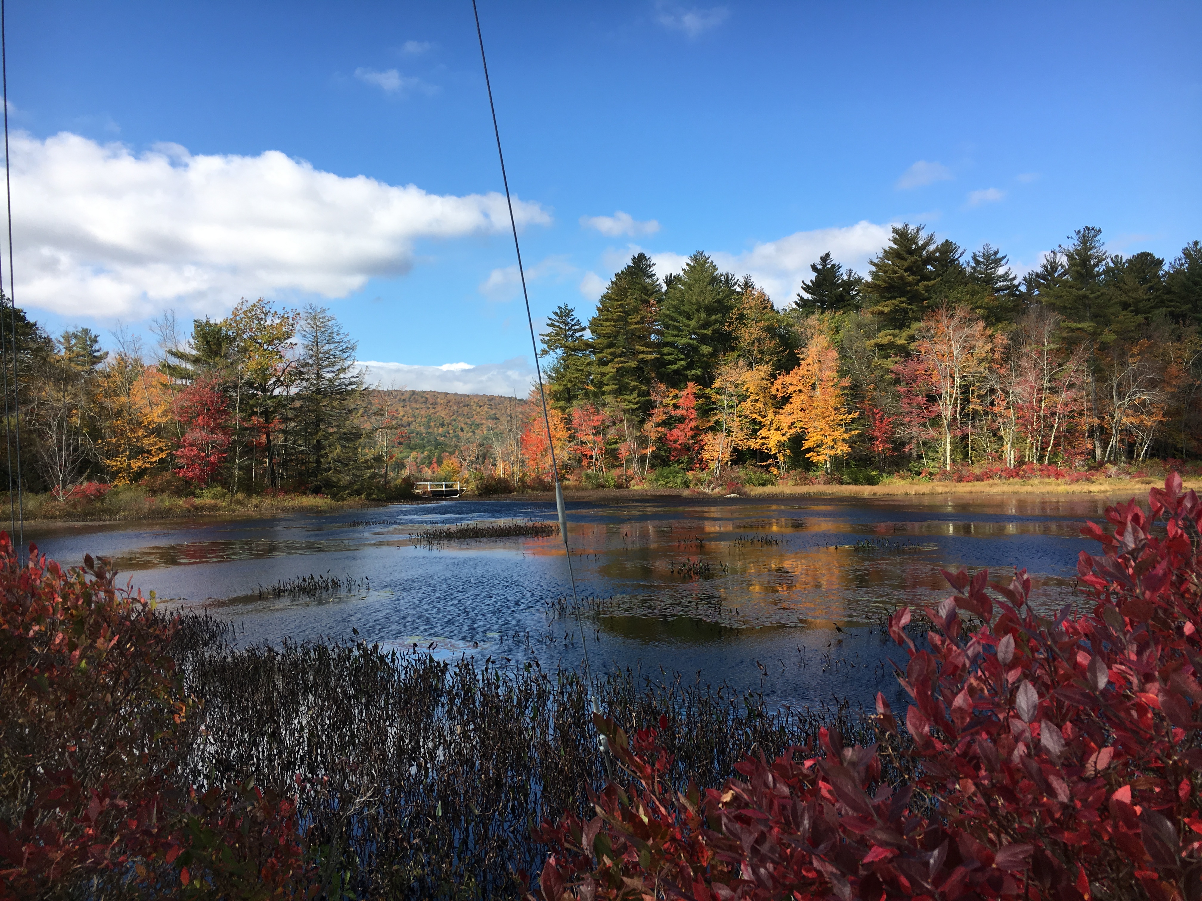 bridge by the lake in fall