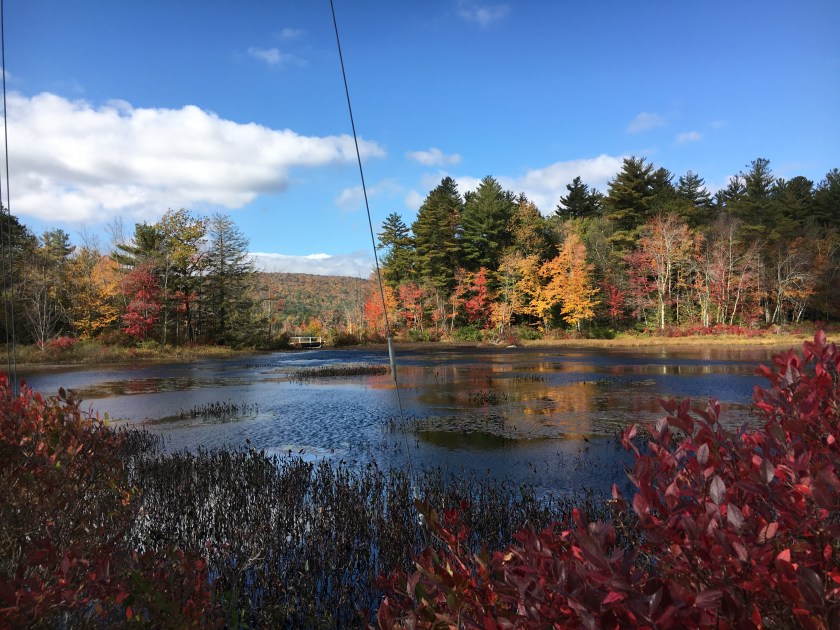 bridge by the lake in fall