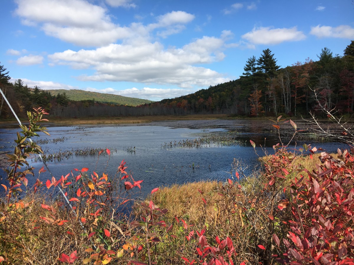 Foliage Season Winds Down In New&nbsp;Hampshire