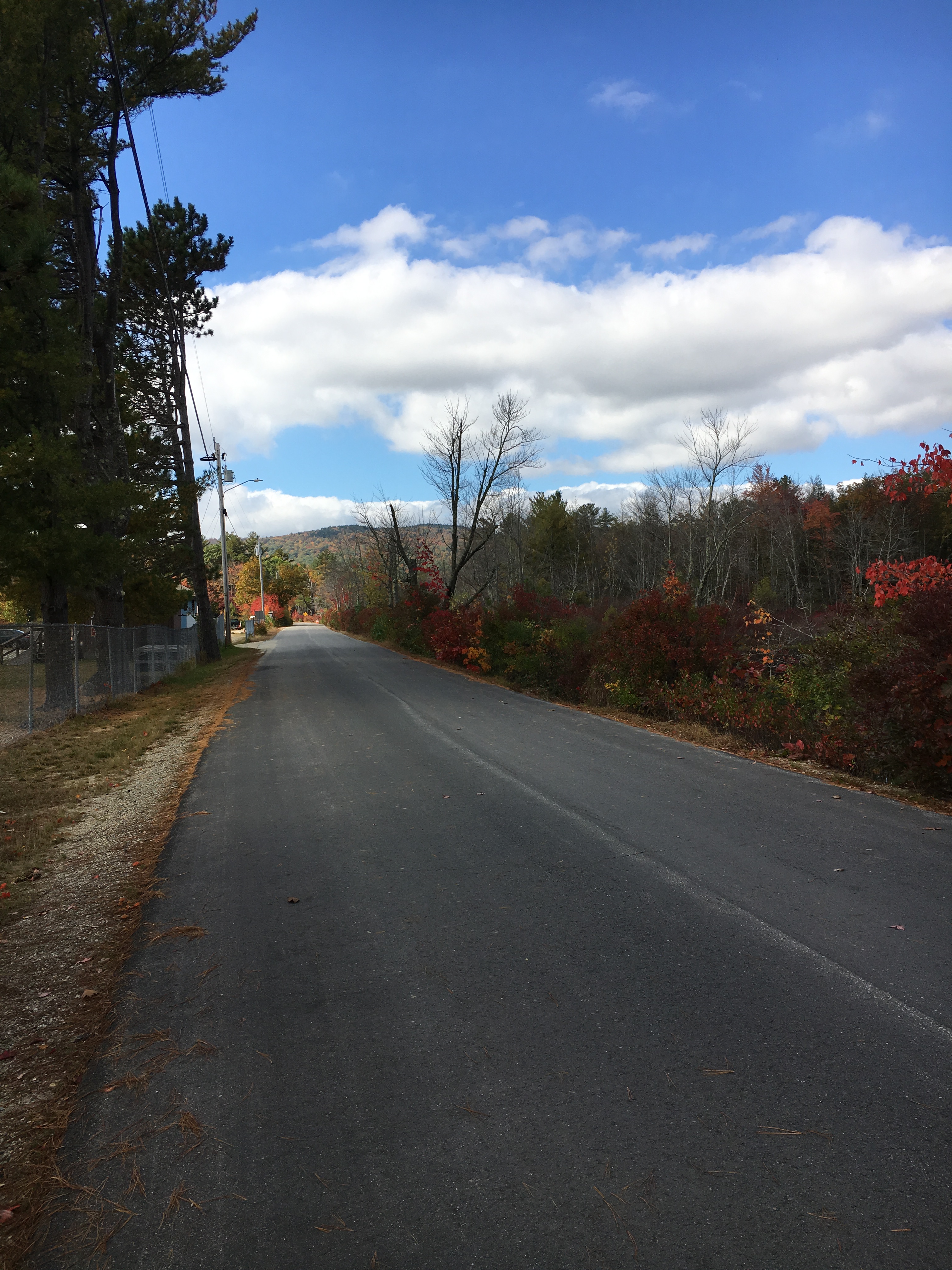 Empty road around Gregg Lake