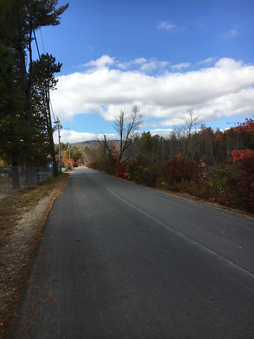 Empty road around Gregg Lake