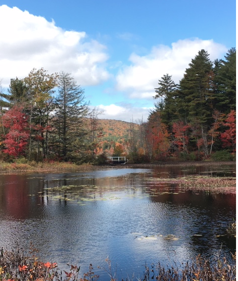fall foliage lake bridge