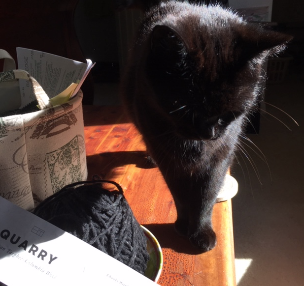 Black cat and Quarry yarn