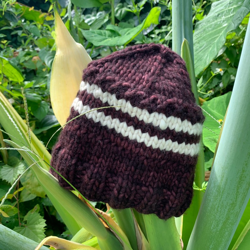 winter hat in Florida