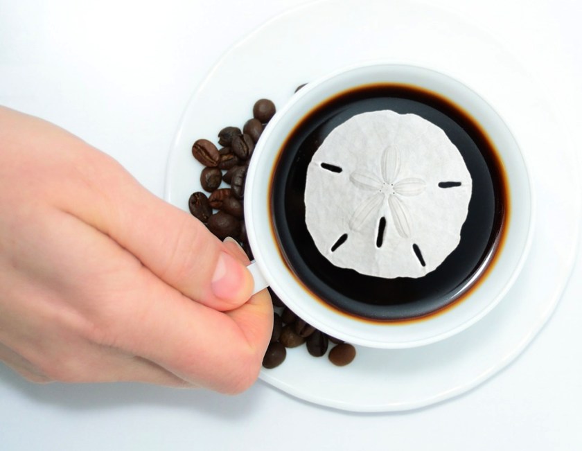 sand dollar coffee cup