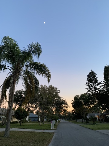 Florida neighborhood walk sunset