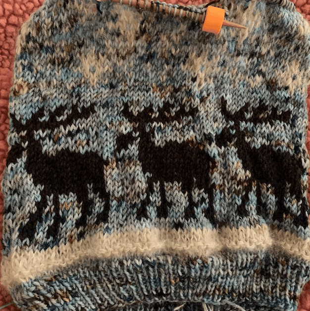 Beware of the moose hat pattern knitting project