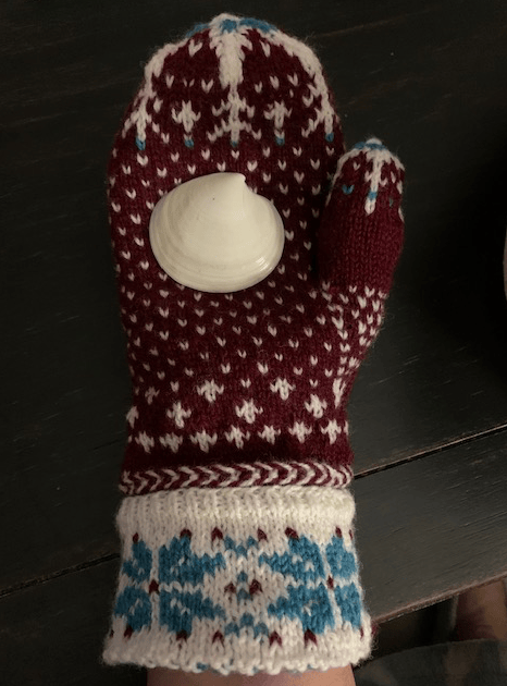 Milet mitten and Dosinia seashell