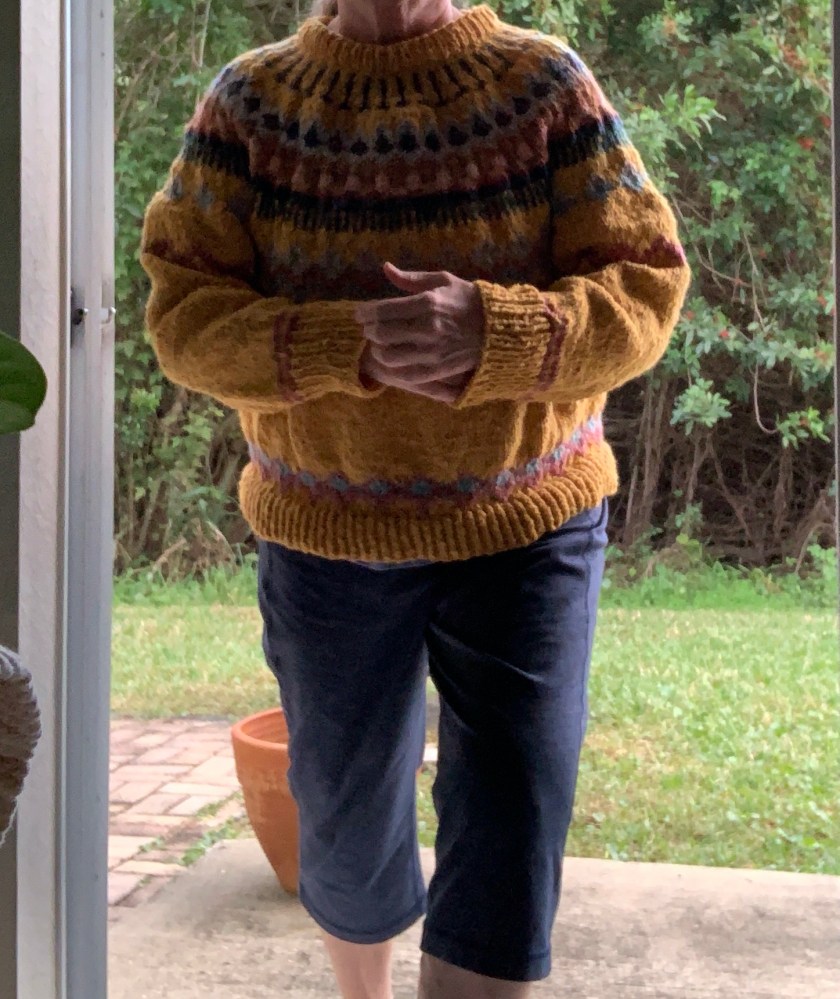 Pullover sweater Marshland pattern