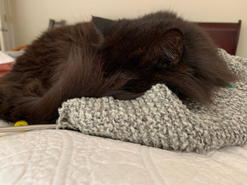 cat sleeping on knitting project, the Cobblestone