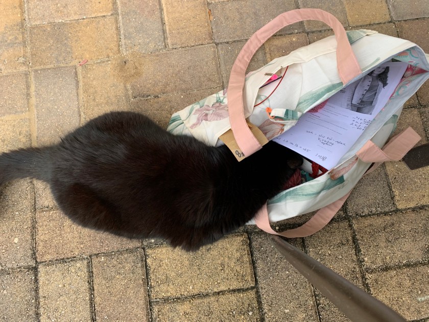 Curious cat slips inside my knitting bag