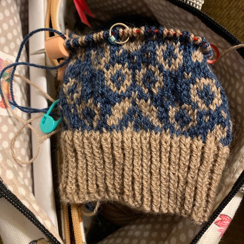 knitting the Wild Angelica socks pattern