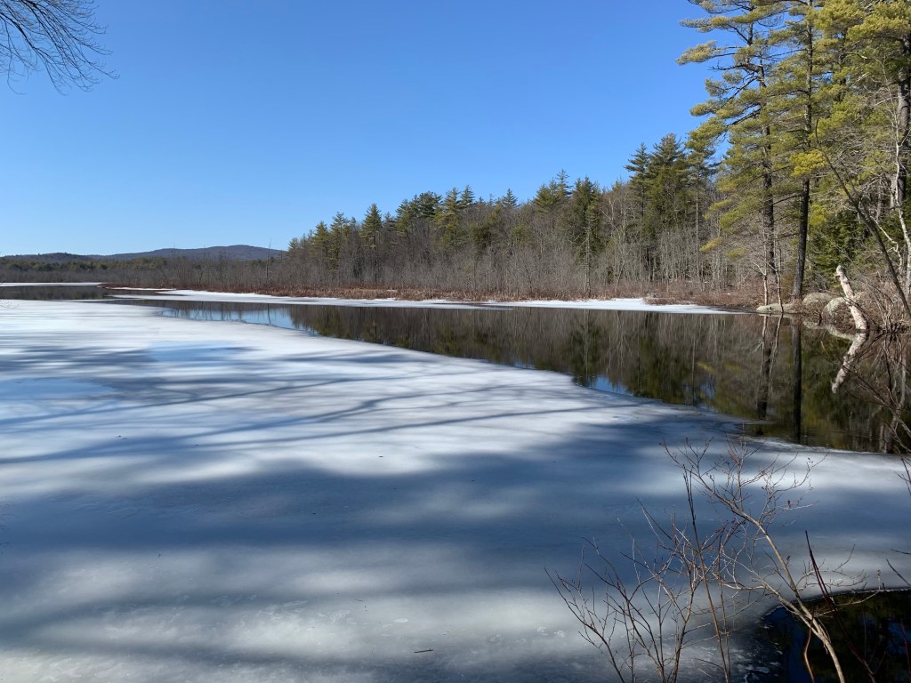 Harris Center trail winds by a lake which still had ice in places
