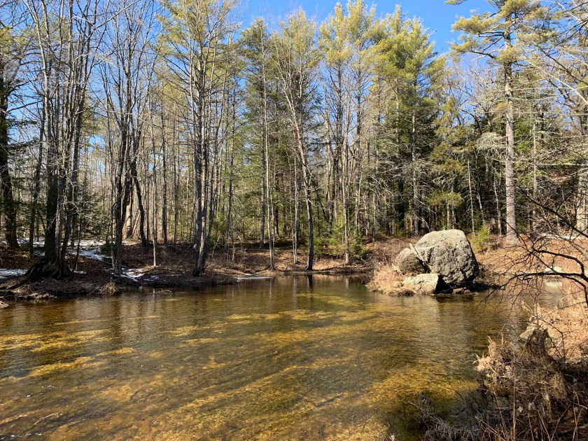Clear water and big walk on Harris Center trail