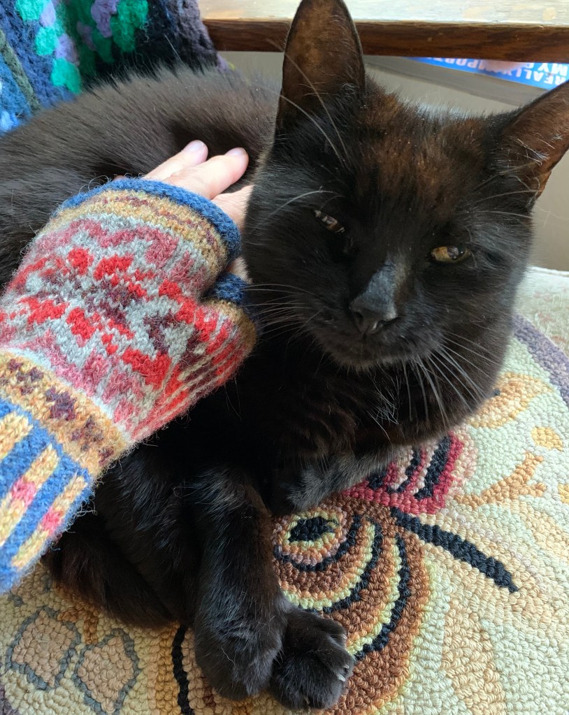 Wool mitt pattern Fair Isle in wool petting cat